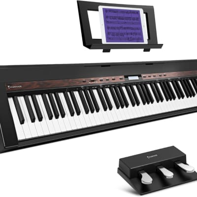  Donner DDP-80 Digital Piano 88 Key Weighted Keyboard, Full-size  Electric Piano for Beginners, with Sheet Music Stand, Triple Pedal, Power  Adapter, Supports USB-MIDI Connecting, Retro Wood Color : Musical  Instruments