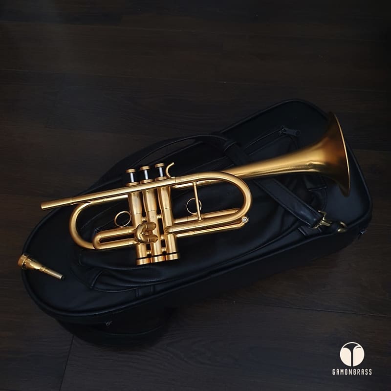 Monette LT C Gold Plated trumpet, case, mouthpiece Monette LT C Gold Plated trumpet, case, mouthpiece