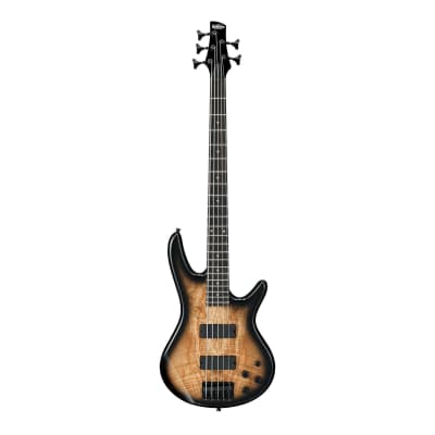 Ibanez 5 String Bass Guitar Right Handed, Natural Gray Burst GSR205SMNGT image 1