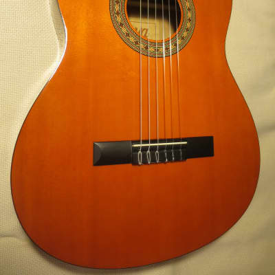 Goya G-120 Classical Guitar image 1