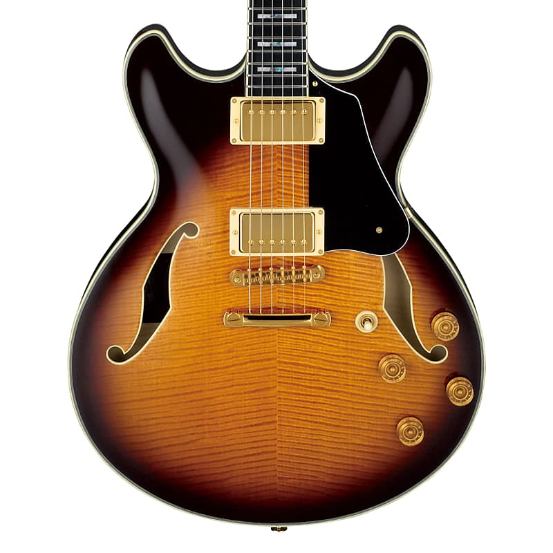 ギター Ibanez JSM100 John Scofield signature Ibanez JSM100 John Scofield Signature with Case in Vintage