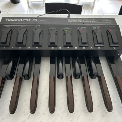 Roland PK-5A Dynamic MIDI Pedal Controller 2006 - 2012 - Black image 1