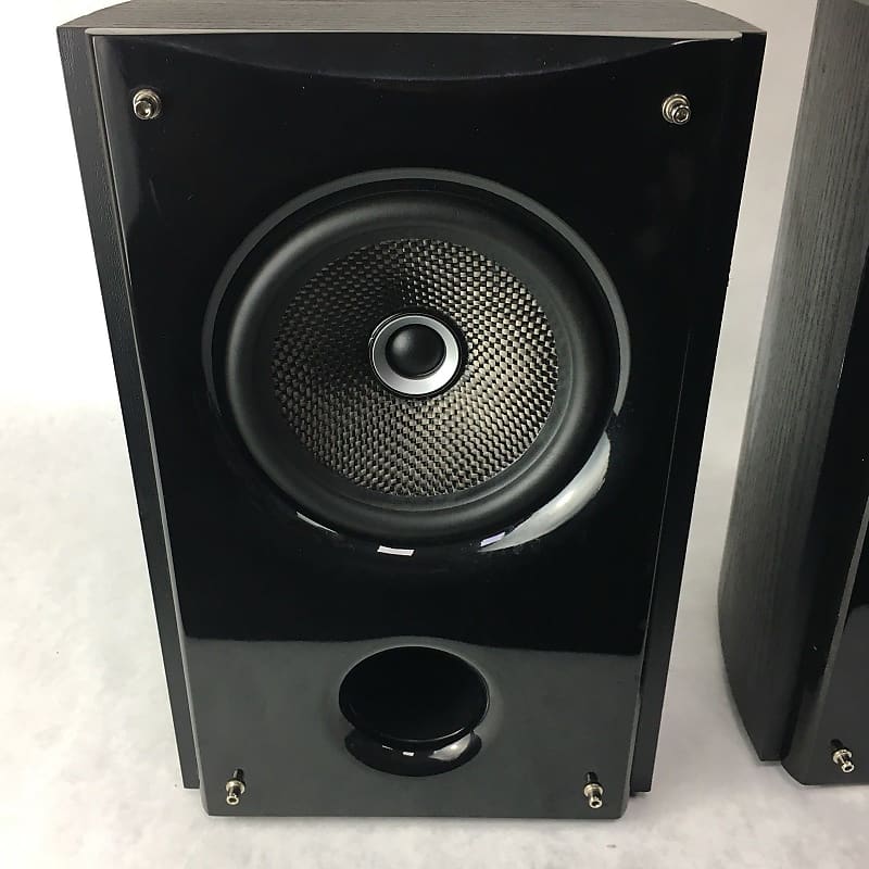 Insignia NS-B2111 Carbon Fiber 2 Way Passive Shelf Speakers