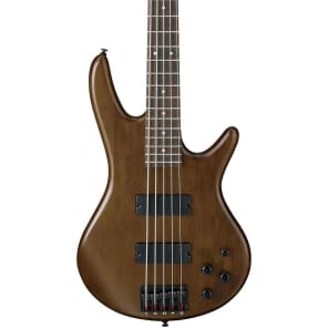 Ibanez GSR205 5-String Electric Bass with Ibanez MB100C Bass Case image 2