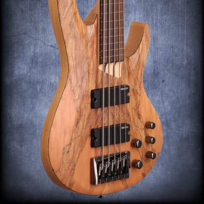 ESP LTD B205SM-FL Fretless 5 String Electric Bass Guitar Natural Satin image 9