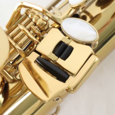 Eastman Model EAS850 Professional Alto Saxophone 'Rue Saint-Georges' GORGEOUS image 12