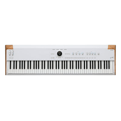 REVERB|stereo【88鍵|artesia|perfomer】 81vqooUsXiL._UF894,1000_QL80_.jpg