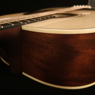 Brand New Gallagher Slope Shouldered Dreadnaught Model SG-50 Tennessee Adirondack / Sinker Mahogany image 8