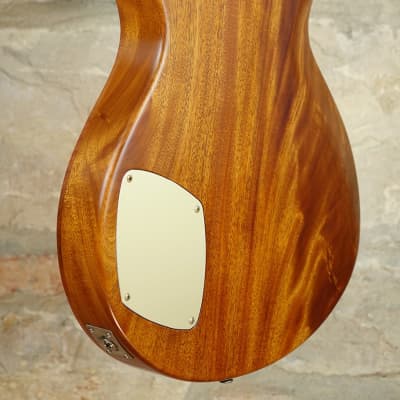 PATRICK JAMES EGGLE Macon Single Cut - RedWood 1 Piece with Ebony Parts - Double Stained and Burst image 19
