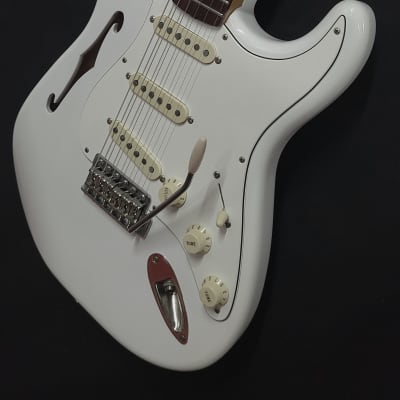 Custom Light Relic Fender Thinline Style Stratocaster Eric Johnson Pickguard Assembly Deluxe Stratocaster Neck w/Gigbag image 4