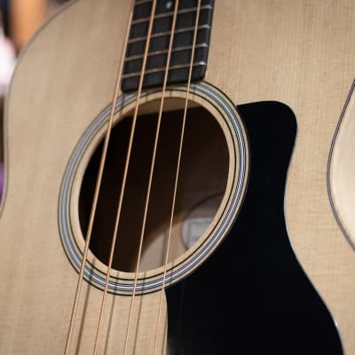Taylor GS Mini-e Maple Acoustic/Electric Bass w/ GS Mini Hard Bag - Demo image 10