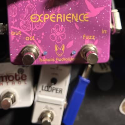 Reverb.com listing, price, conditions, and images for tsakalis-audioworks-experience-fuzz