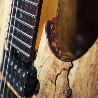 Canalli Spalted SS, MBit Custom Shop, Reclaimed / Exotic Woods, Stainless Steel Tremolo Bridge, Hand-wound Pickups, Brazilian, Superstar Style image 5