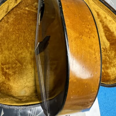 Vega Cylinder Back Mandolin  #SR 11-106 1920's - Natural image 20