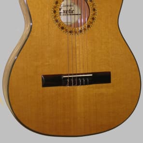 Giannini Classical Guitar All Solid Wood Made in Brazil w/Giannini Gig Bag image 2
