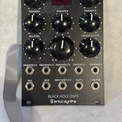 Erica Synths Black Hole DSP 2 | Reverb