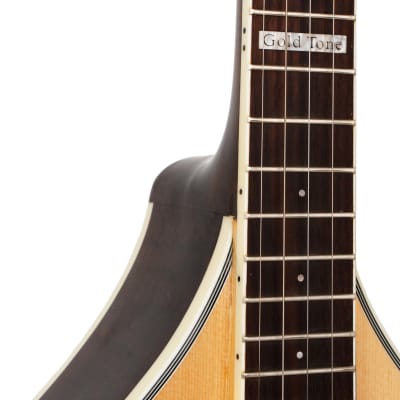 Gold Tone Banjola+ Wood-body Banjo w/Pickup image 4