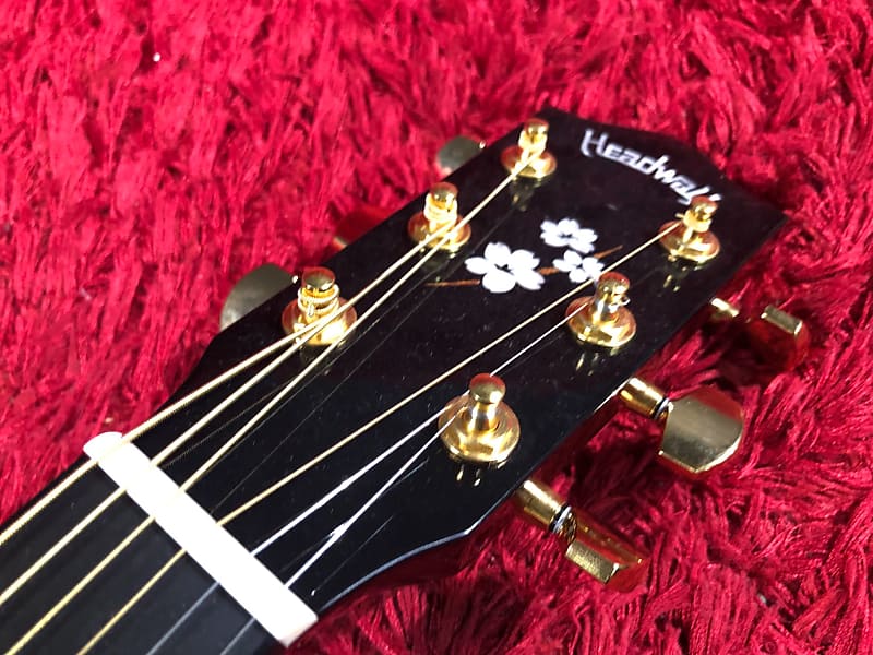 Headway HD-YOZAKURA'21 DX F S / STD Acoustic Guitar Hard Case