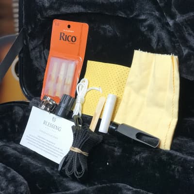 Blessing Eb Alto Saxophone Outfit + Hard Case BAS-1287 image 7