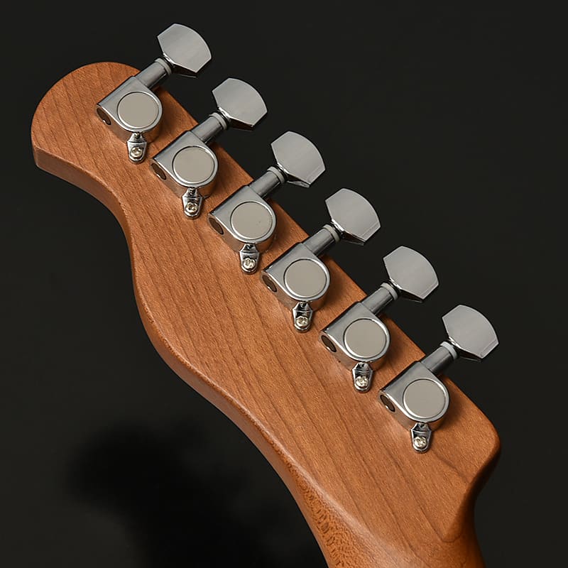 Bacchus BTE-1-RSM/M BLK Universe Series Roasted maple neck / TE