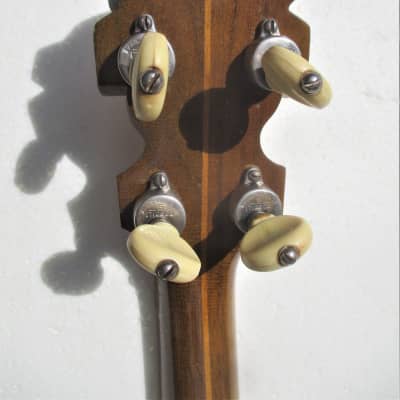 Lange Orpheum Banjo, 1920's,  Resonator, Tone Ring, Page Tuners, HSC,  Unusual Model,  Little Use image 14