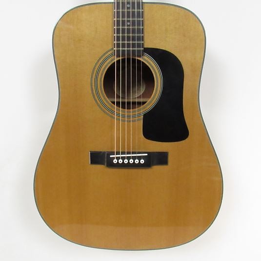 Washburn d100 new arrivals