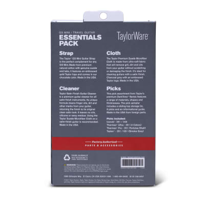 Taylor GS Mini/Traveler Essentials Pack image 2