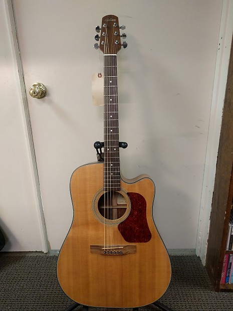 Walden D560TCP Acoustic Guitar | Reverb