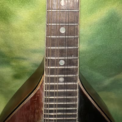 1920s Regal Washburn Style A Model 1915 image 3