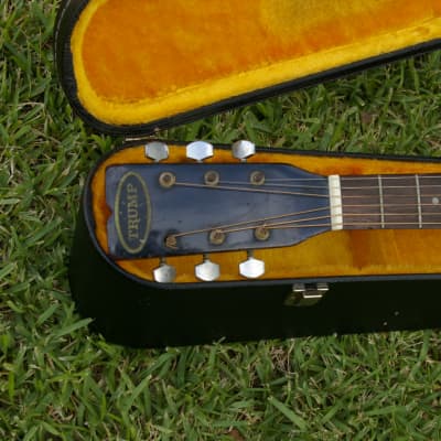 Trump Dreadnought with Vintage Case image 2