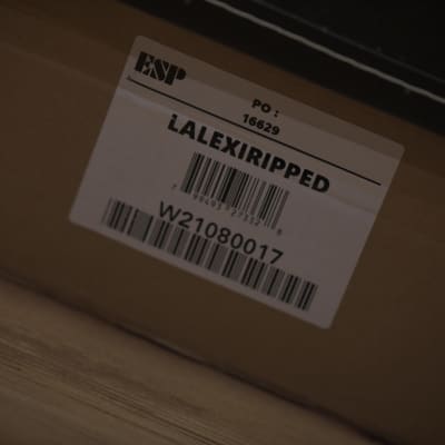 ESP LTD Alexi Ripped - Purple Fade Satin w/ Ripped Pinstripes - 3 image 21