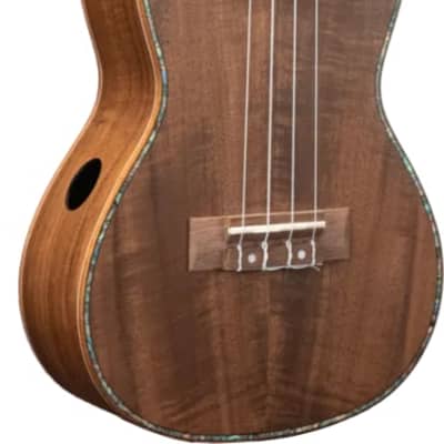 Anuenue AQUA-CK2 Classic Koa II Concert Ukulele | Reverb