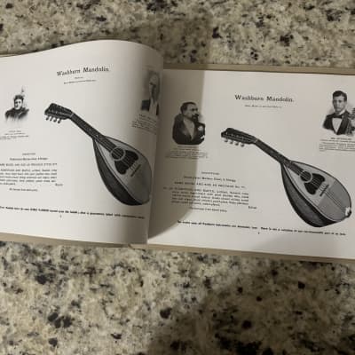 Washburn 1897 guitar mandolin zither banjo reprint catalog Lyon and Healy Lion image 4