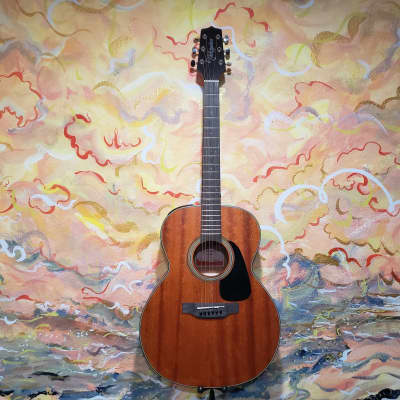Takamine G-Series GLN11E NEX Acoustic/Electric Guitar Natural Satin image 1