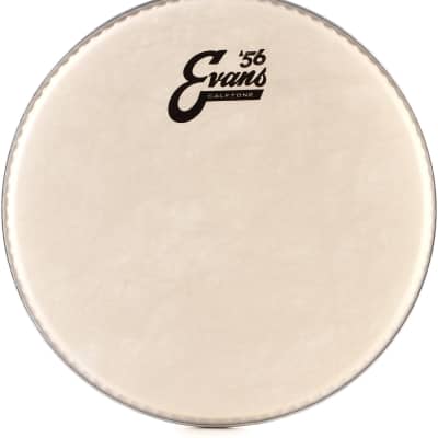 Evans Calftone Drumhead - 14 inch  Bundle with Evans Calftone Drumhead - 10 inch image 3