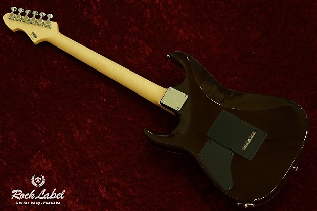 T's Guitars DST-Spider22 / Flame w/ Buzz Feiten Tuning