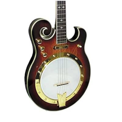 Gold Tone EBM-5 Electric Banjo (Five String, Tobacco Sunburst) image 1