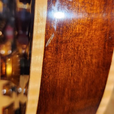 Eastman Otto D'Ambrosio El Rey Hollowbody Electric Guitar - Original Hard Case-Solid Wood Beauty image 16