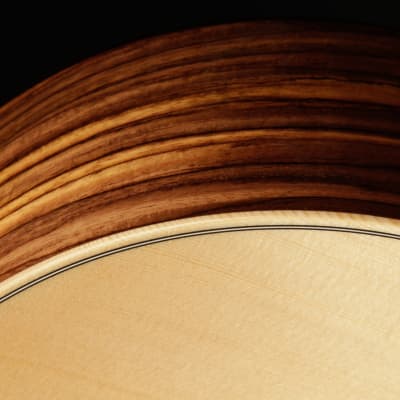 Taylor GS Mini-e Rosewood Plus image 18