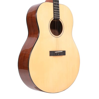 Gold Tone TG-10 Mahogany Neck 4-String Acoustic Tenor Guitar with Hard Case image 2