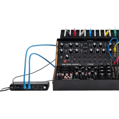 Moog Sound Studio - DFAM & Subharmonicon Semi-Modular Synthesizer Bundle image 3