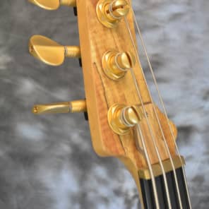 Immagine Rare 2008 Parker PB61 "Hornet" Bass feat. Spalted Maple Top - 4