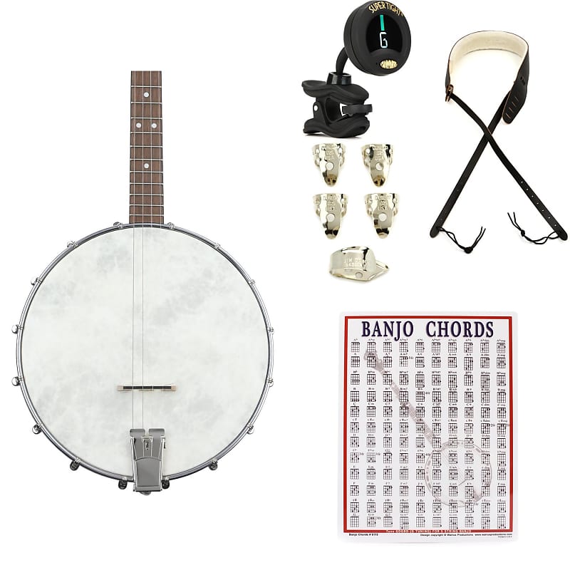 Recording king dirty 30's store open back banjo