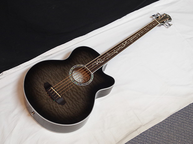 Michael kelly dragonfly on sale fretless acoustic bass