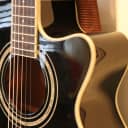 Washburn EA12B Acoustic Electric Guitar + Free Shipping!