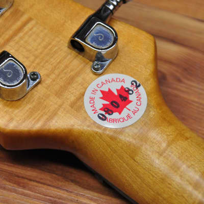 F Bass Fretless 4-30 image 18