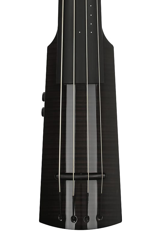 NS Design WAV4 Electric Upright Bass Black (WAV4DBBKd1) Reverb