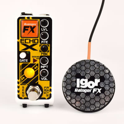 Reverb.com listing, price, conditions, and images for rainger-fx-echo-x-digital-delay