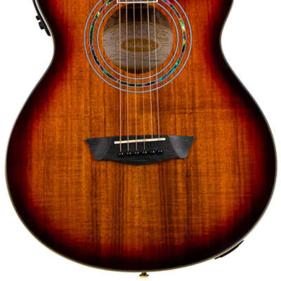 Washburn Festival Series EA55G Acoustic Guitar for sale