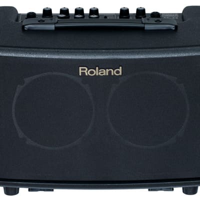 Roland AC-33RW 2-Channel 30-Watt 2x5